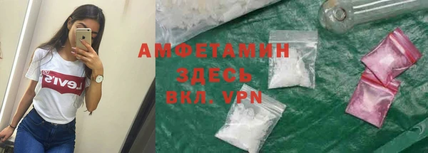 дживик Богородск