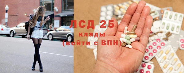 MESCALINE Бородино