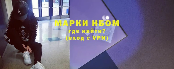 дживик Богородск