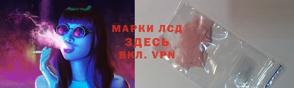 дживик Богородск