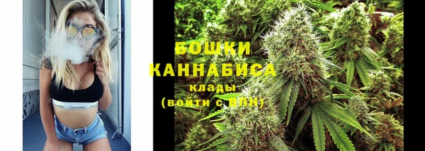 дживик Богородск