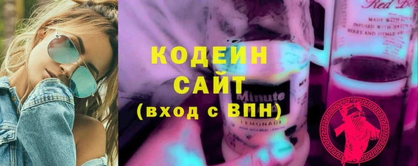 шишки Белоозёрский